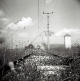 120 BW Film - Lomography 400 Lady Grey (3-Pak!)