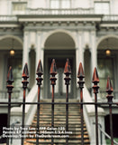 120 Color Film - FPP Color 125 (1 roll)
