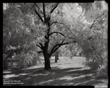 4x5 Sheet Film - FPP BW Neg Infrared Film - (25 Sheets)