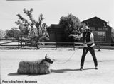 120 BW Film Kentmere 200 (Single Roll)
