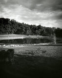 120 Film Camera - FPP Debonair