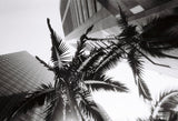 35mm Film Camera - Lomo Simple Use BW (with Film)