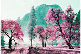 35mm Color - LomoChrome Purple / Metropolis / Turquoise Mix (3 Roll Box)