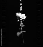 35mm BW Film - Eastman Kodak Hi-Fi 2374