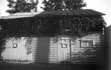 35mm BW Film - Mz3 Fine Grain (1 Roll)