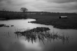35mm BW Film - Mz3 Fine Grain (1 Roll)