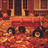 35mm Color - FPP Red Scale (1 roll)