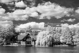 120 BW Film Ilford SFX200 Infrared (1 Roll)