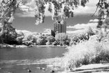 120 BW Film Ilford SFX200 Infrared (1 Roll)