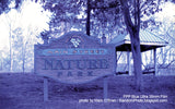 35mm Color - FPP BLUE ULTRA COLOR (1 roll)