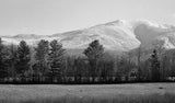 35mm BW Film - Derev Pan 200 (1 Roll)
