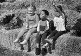 35mm BW Film - Derev Pan 400 (1 Roll)