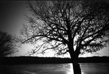 35mm BW Film - FPP Svema Blue (1 Roll)