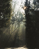 110 Color Film – Fukkatsu 400 (Expired)