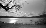 35mm BW Film - FPP LOW ISO BLACK & WHITE (1 Roll)