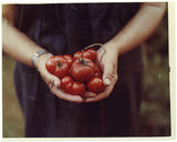 4x5 Sheet Film - Kodak Portra 160 (10 Sheets)