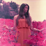 120 Color Film - LomoChrome Purple XR 100-400 (1 Roll)