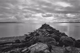 35mm BW Film - FPP Svema Blue (1 Roll)