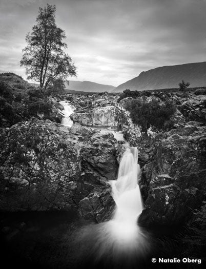 35mm BW Film Ilford Ortho Plus (1 Roll) – Film Photography Project