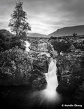 120 BW Film Ilford Ortho Plus (1 Roll)