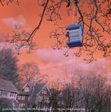 120 Color Film - Harman Switch AZURE Color