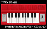 Michael Raso - Synth Waves From Space (Digital Download)