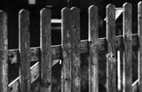 120 BW Washi E (1 Roll)