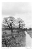 35mm BW Film Kentmere Pan 200 (1 Roll)