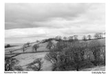 35mm BW Film Kentmere Pan 200 (1 Roll)