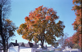 35mm Color Film - Seattle Filmworks 200 (Expired - 1 Roll)