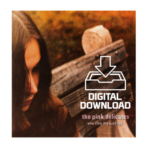 Pink Delicates - Who Stole the Quiet Day (Digital Download)