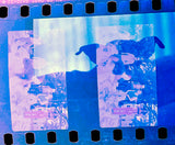 35mm Color Film - Kodak Vision 5242 (Experimental - Please Read)