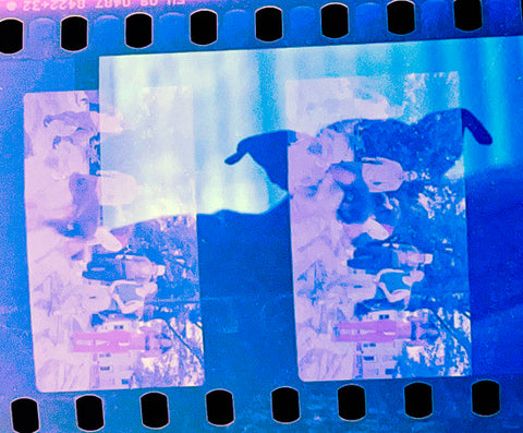 Developed Color Film Color Film Negative